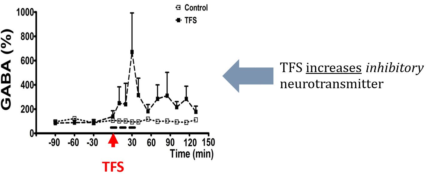 TFS Increases Inhibitory Neurotransmitter